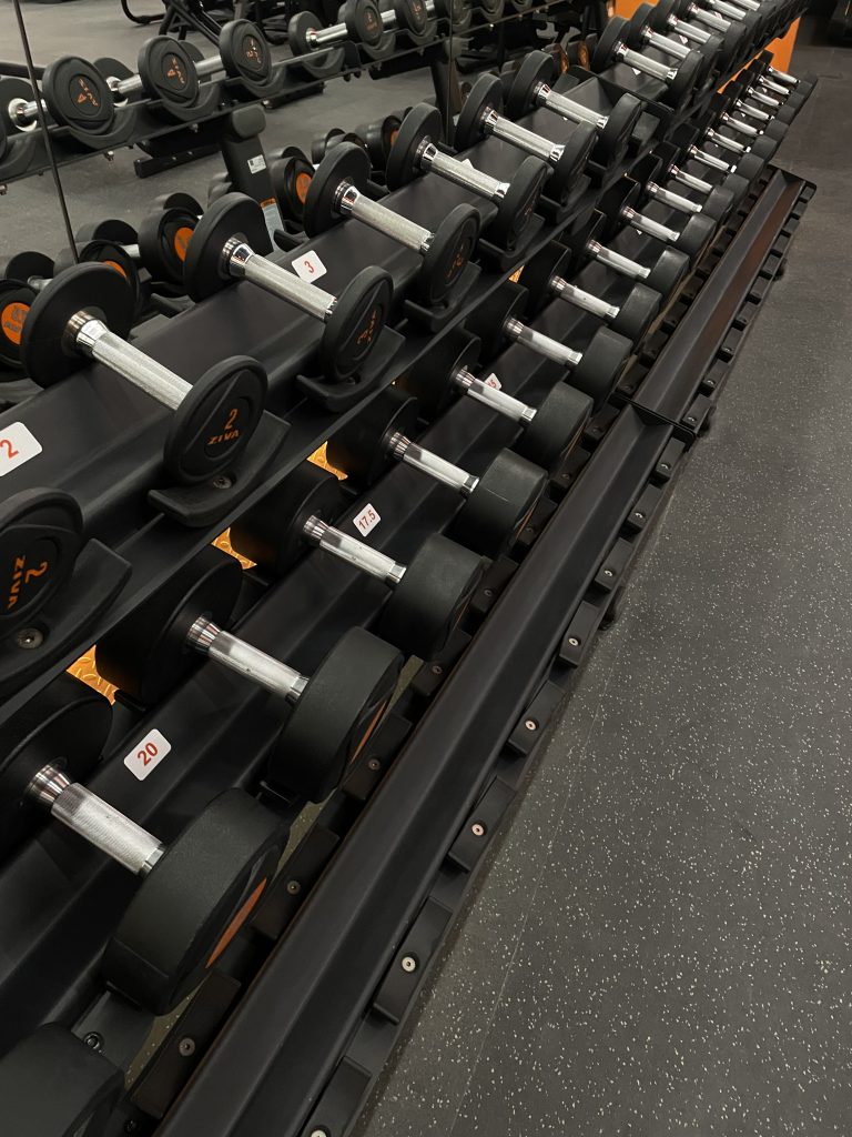 Women-Only Gyms in Saudi Arabia: Perspectives & Personal Reviews